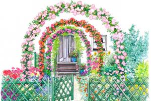 자신의 손으로 집 앞의 아름다운 앞 정원 : 나만의 디자이너
